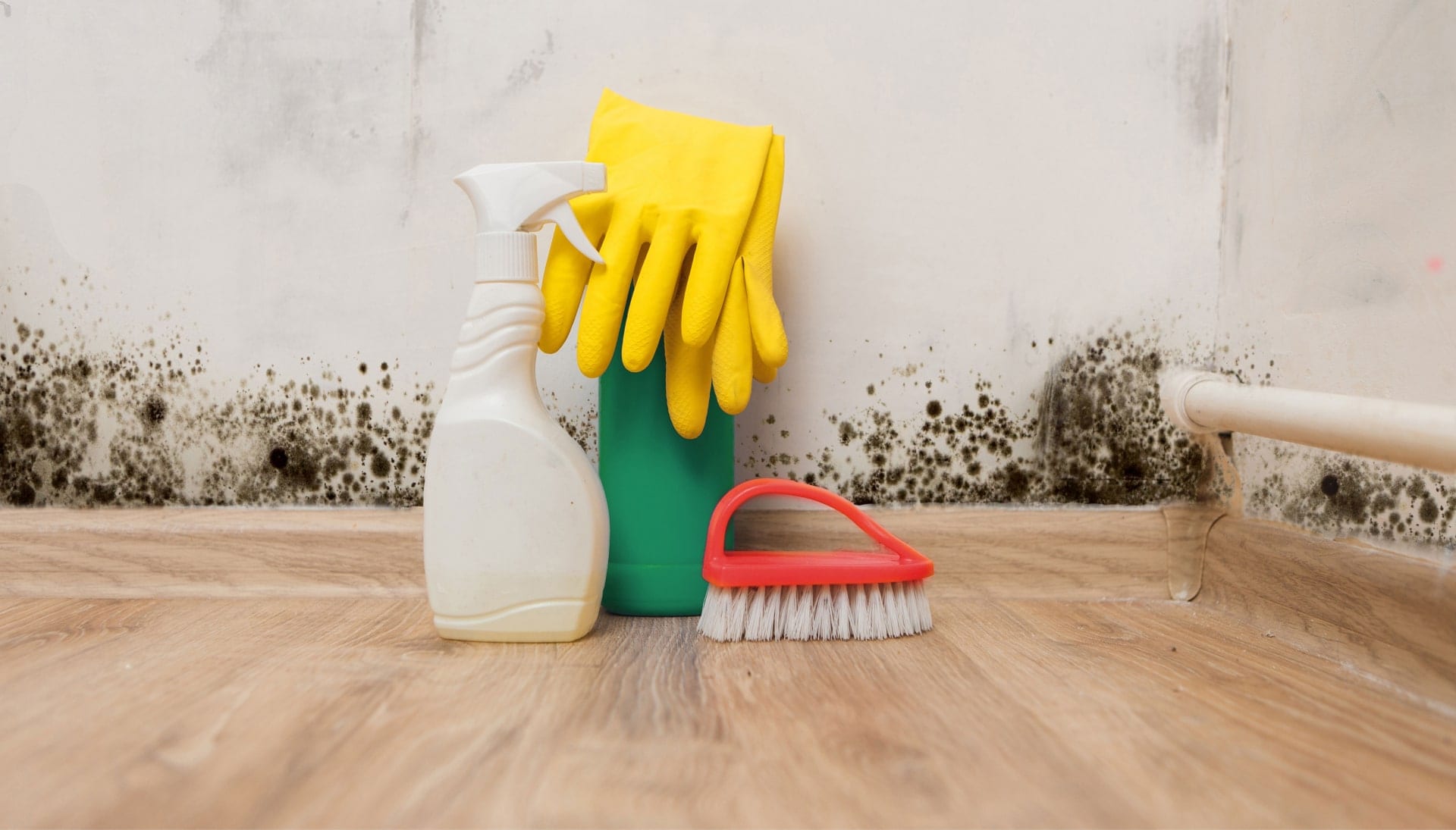 Know About Mold Removal In Fairfax