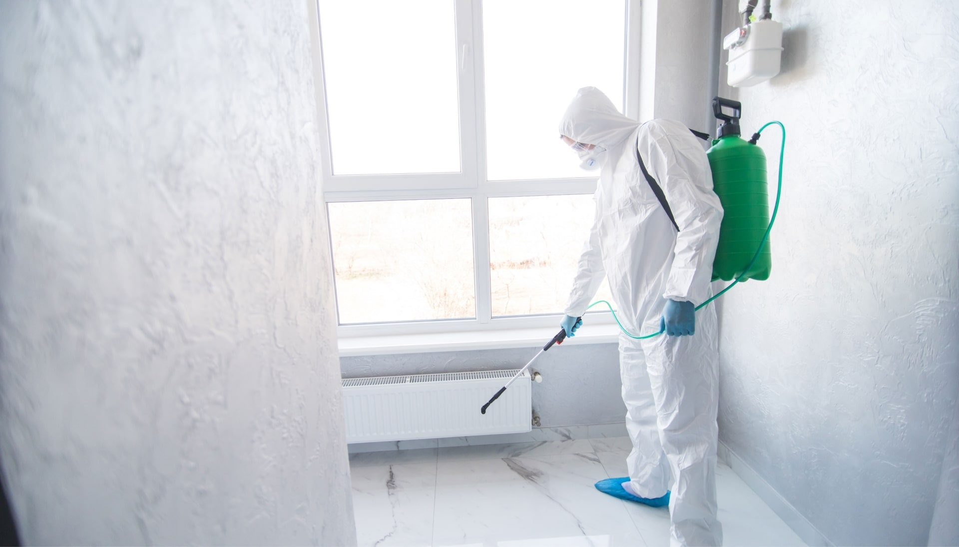 Mold Inspection Services in Fairfax